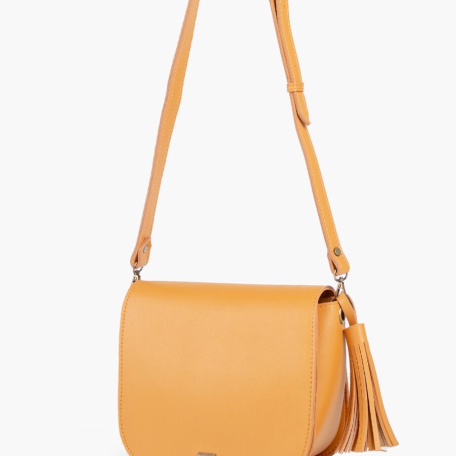 Dior Saddle bag – front view