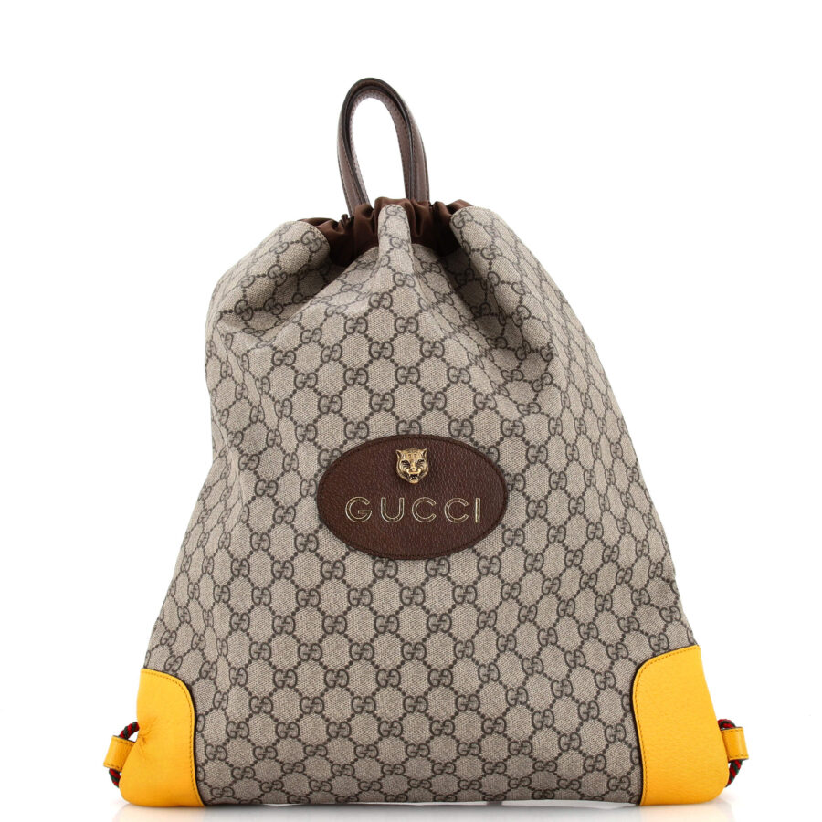 Designer Backpack bag – front view